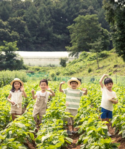 프로그램 홍보 및 모집